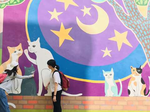 猫咪高地