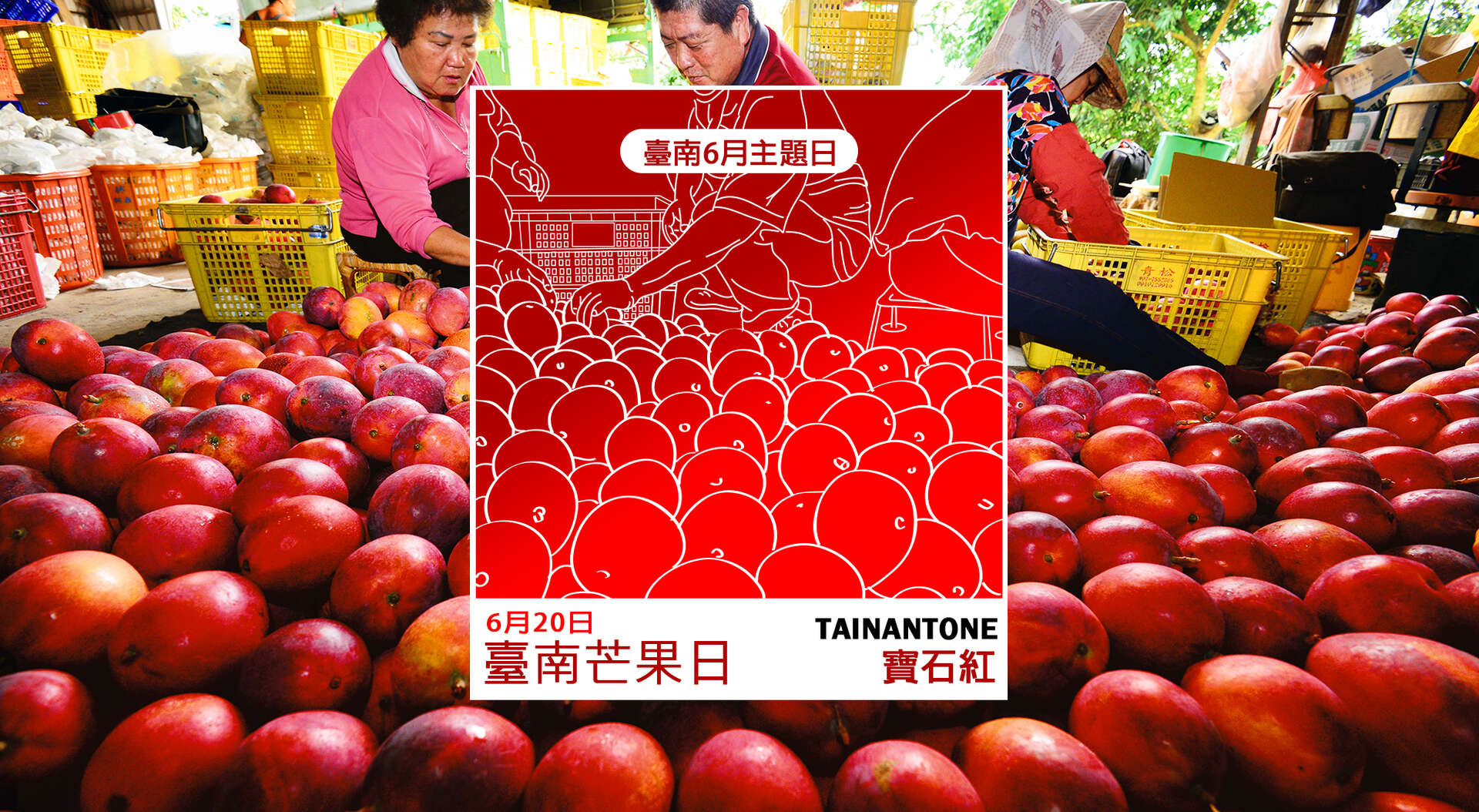 TAINANTONE-主題日設計06-寶石紅