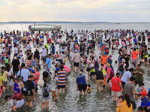 2018七股海鲜节朝外海拍