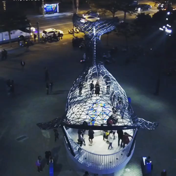 安平大魚の祝福 　感動な夜のひかり