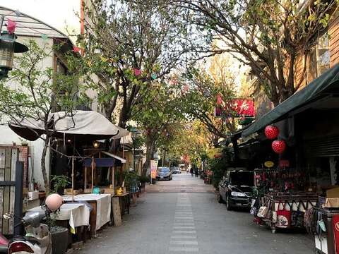 The Coral Tree Alley