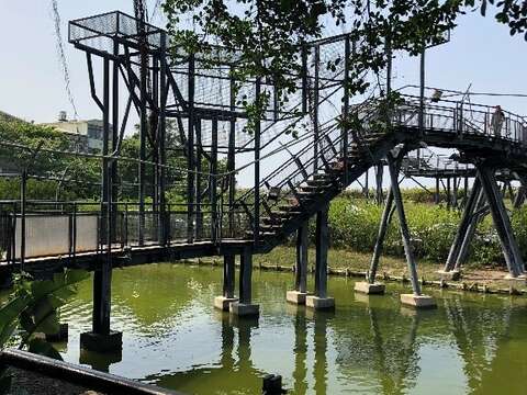 The observation platform behind the back door of the Anping Tree House