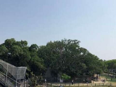 Look toward the Anping Tree House from the observation platform