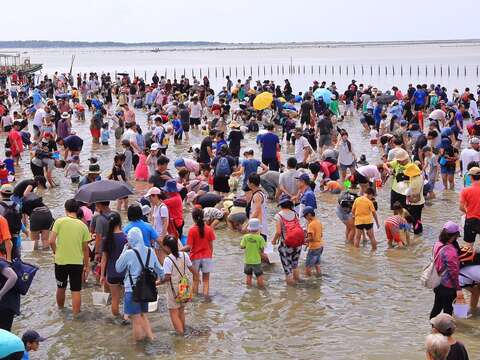 民眾體驗觀光赤嘴園挖文蛤活動