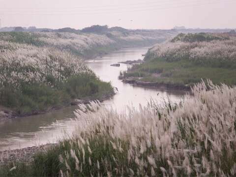 後壁台一省道八掌溪沿岸