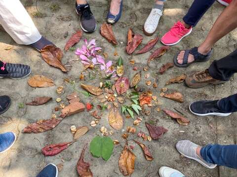 一起拼成一幅花葉曼陀羅