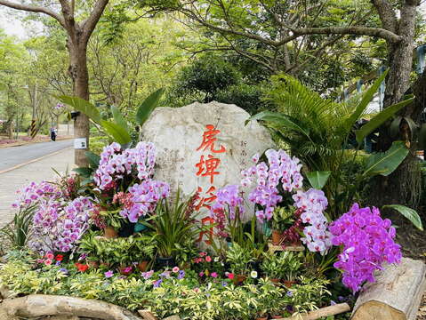 春迎虎头埤-花漾台湾第一水库