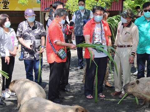 防疫五月天帶動台南觀光人潮成長-頑皮世界