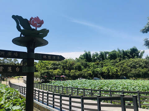 白河蓮花公園