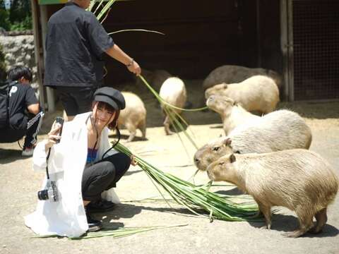 觀光遊樂業 頑皮世界 與動物互動-1