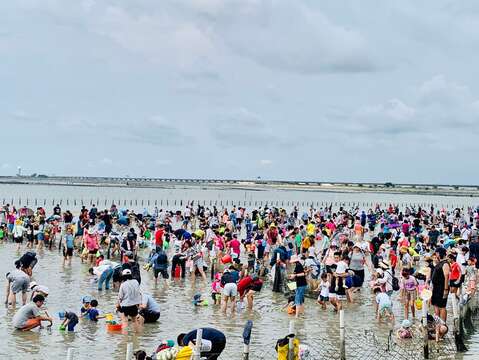 7.赤嘴園挖文蛤體驗人潮滿滿