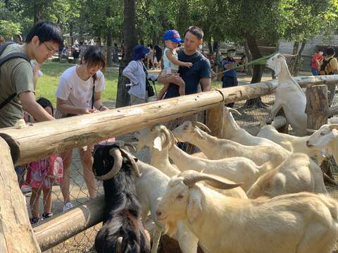 中秋連架第三天-頑皮世界野生動物園吸引親子遊客餵食動物