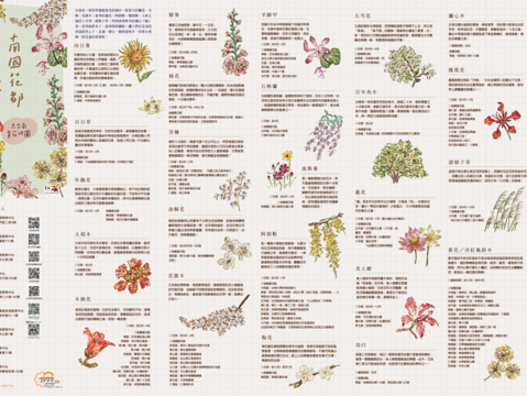 南国花都-大台南赏花地图