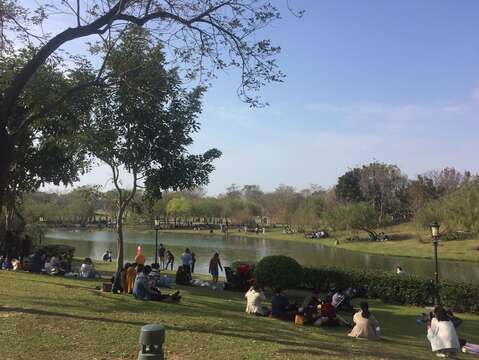 鄰近奇美博物館的都會公園成為許多遊客野餐悠閒曬太陽的好地方