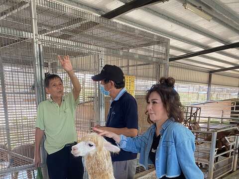 台南女兒王彩樺大推台南在地風土小旅行(圖為柳營乳牛的家)