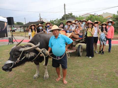 金點賞部落科體驗後壁牛車