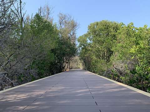 雙春濱海遊憩區南向棧道