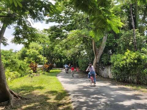 虎頭埤遊客騎乘自行車放風享受大自然