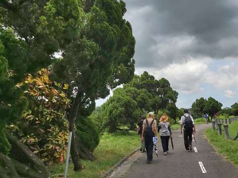 游客在广阔的水塘旁都能保持社交距离