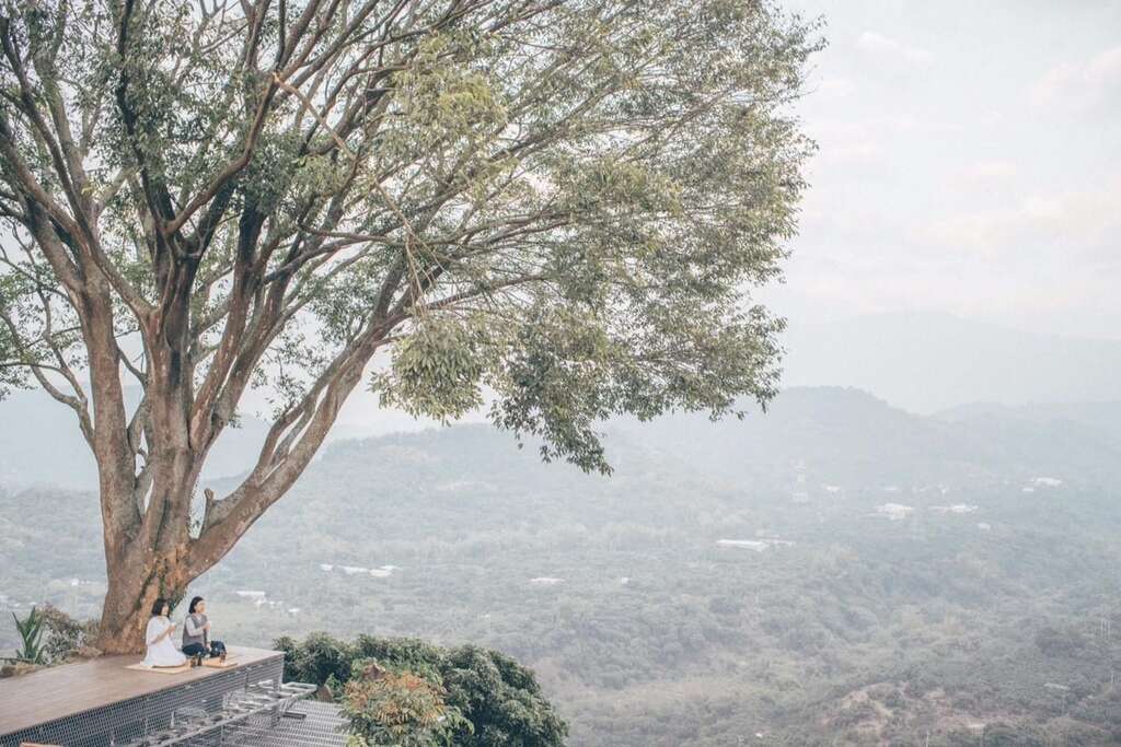 东山区仙湖农场(仙湖农场提供)
