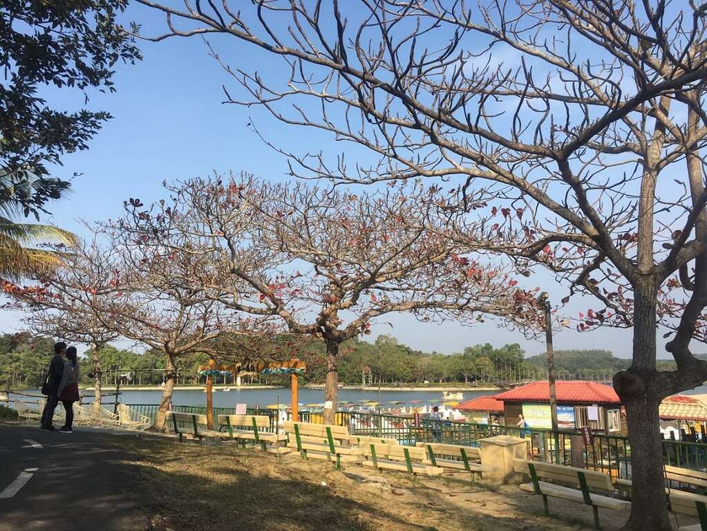 虎头埤秋天景致