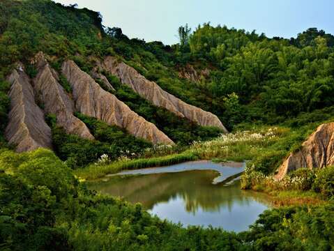 牛埔農塘-南市觀旅局提供