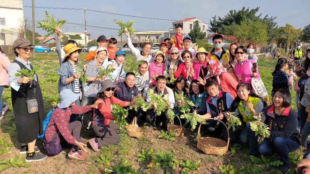 市长与民众体验拔萝卜