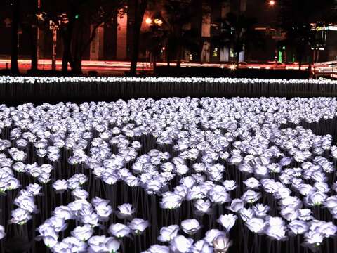 現場布置逾3萬朵白色玫瑰花燈