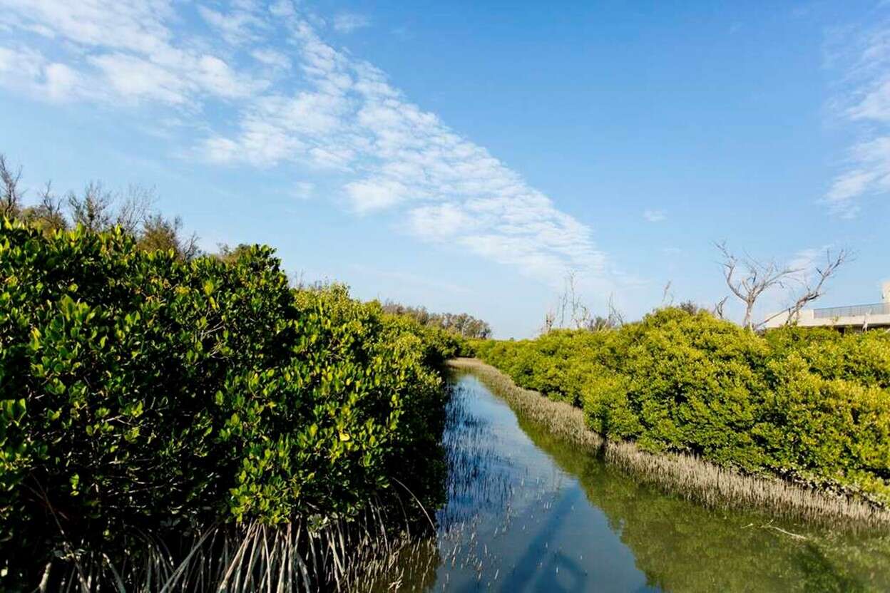 雙春濱海遊憩區