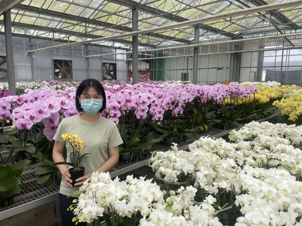 就是要「兰」「住」你!