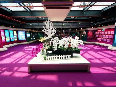 国际兰展