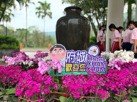 趣淘漫旅台南兰花布置