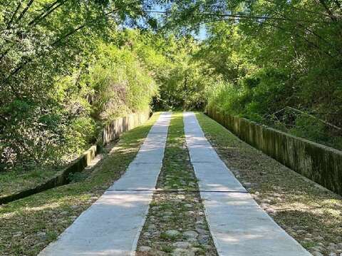 關廟森林公園林間步道