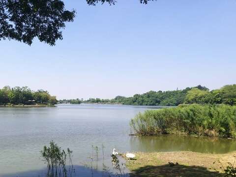 虎头埤是适合钓鱼、休闲的好地方