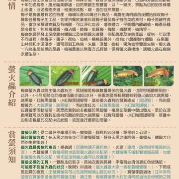 梅岭风情与萤火虫介绍