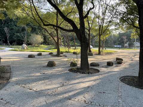 碧雲公園增加林下休憩空間