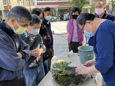 延平郡王祠新春陶藝盆景展教學體驗