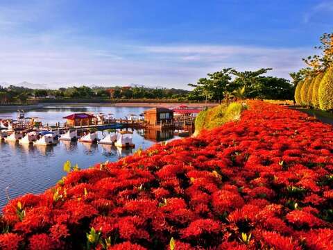 虎头埤美景
