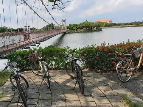 骑自行车可带来身体健康促使人更快乐
