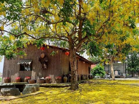 白河大山宮竹管厝阿勃勒（南市觀旅局提供）