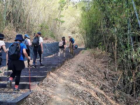 林安森林公園登山步道全新整修完成（南市觀旅局提供）