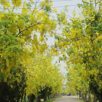 白河區 蓮潭