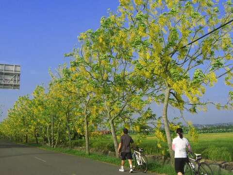 白河区 诏安厝