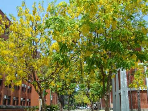  台南大学 府城校区