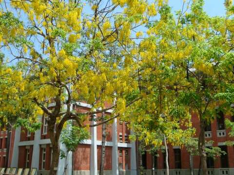  台南大学 府城校区