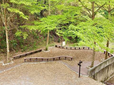 關廟森林公園小葉欖仁休憩區