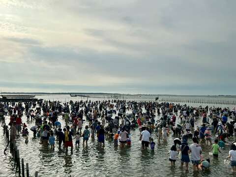 「觀光赤嘴園挖文蛤體驗」是每年最吸睛的濱海消暑與親子活動