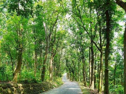 鱼头君带路10月号_川文山森林生态保育农场