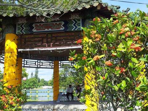 虎头埤风景1