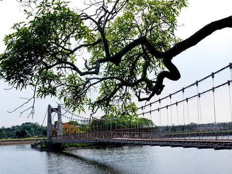 擁有百年歷史的虎月吊橋，是來虎頭埤必走的景點